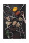 Conceptum Alfombra Hmnt563 Multicolor 80 x 50 cm